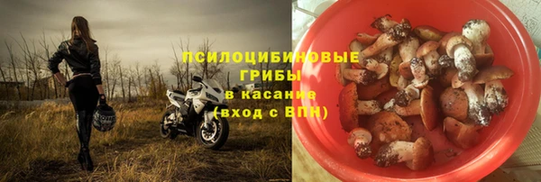 спайс Алексин